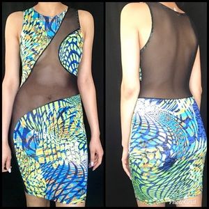Multicolor Mesh Dress